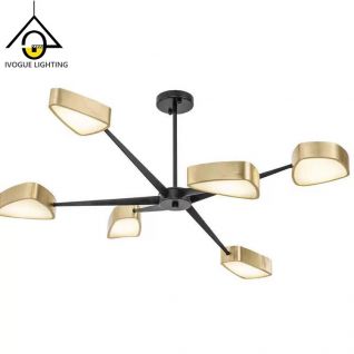 Chandelier & Project Light