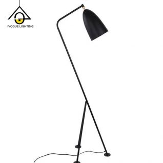 Floor Light